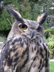 Botanični vrt TAL 2000 2